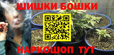 индика Краснознаменск