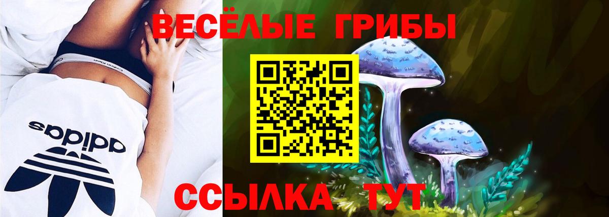 Галлюциногенные грибы мицелий  Вход с VPN  Псилоцибиновые грибы Psilocybine cubensis  Орехово-Зуево 